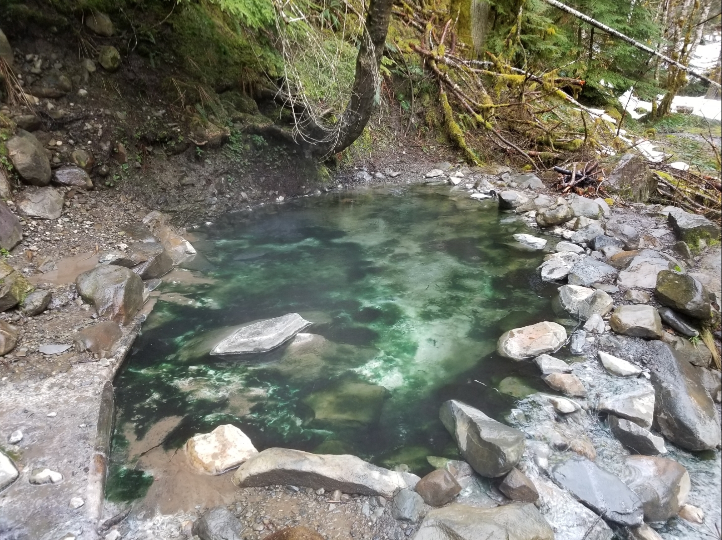 Stock photo of the Olympic Hot Springs