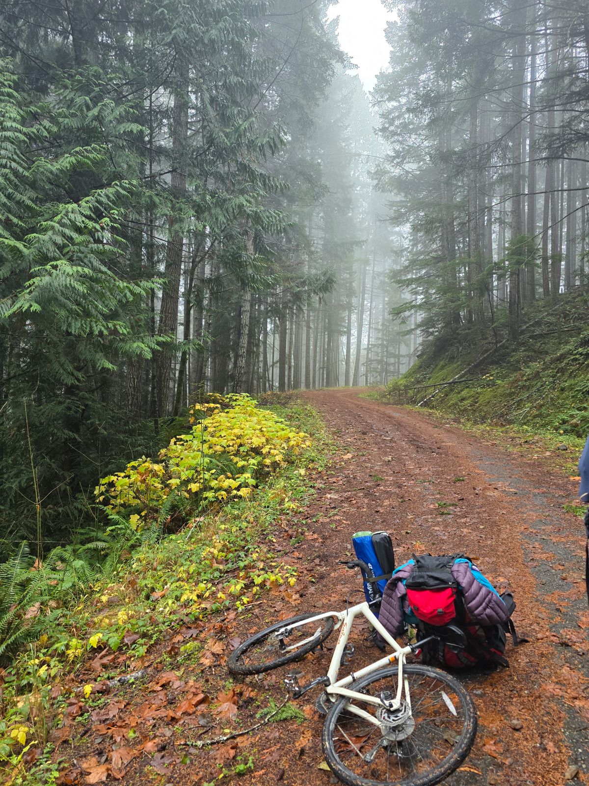 The road beyond the washout.